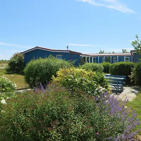 Moeve Aba 11 Apartmán