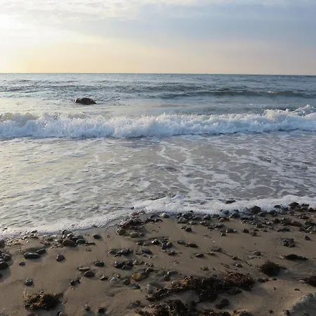 Apartmán Moeve Aba 11