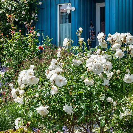 Moeve Aba 11 Apartmán *