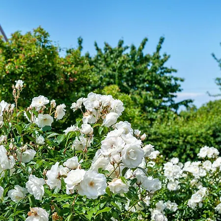 Moeve Aba 11 Apartmán Rerik