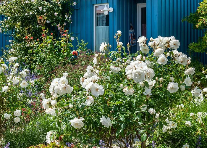 Moeve Aba 11 Apartment *