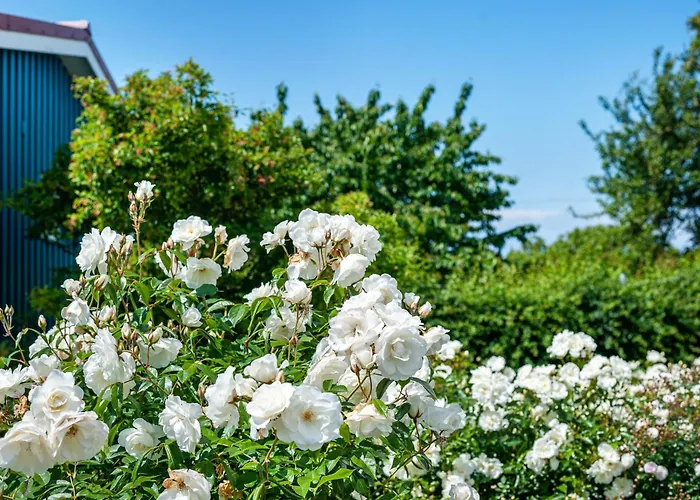 Moeve Aba 11 Apartment Rerik